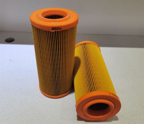 High Quality Auto Engine Intake Air Filter Element 2175291
