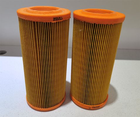 High Quality Auto Engine Intake Air Filter Element 2175291