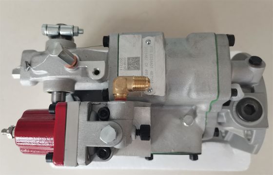 Durable Diesel Fuel Injection Pump Customized 3019487 ES34A01 457798