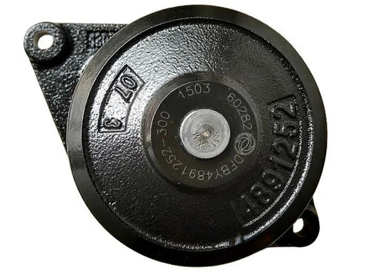 Pompe de liquide de refroidissement 4891252 QSB6.7 3800984 Pompe à eau pour moteur diesel